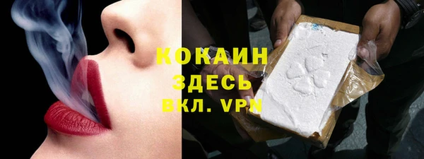 2c-b Горно-Алтайск