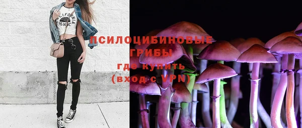 гидропоника Горнозаводск