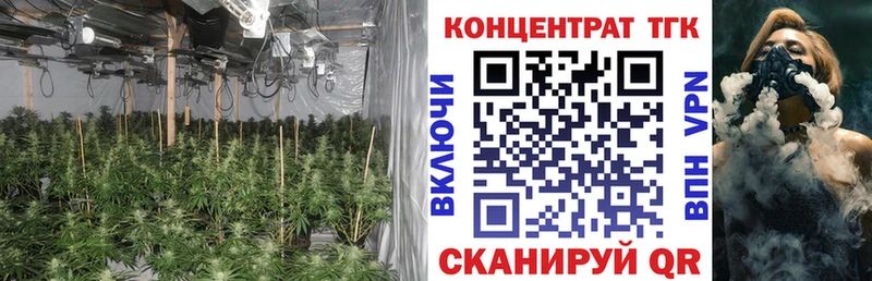 ТГК Wax  Тюмень 